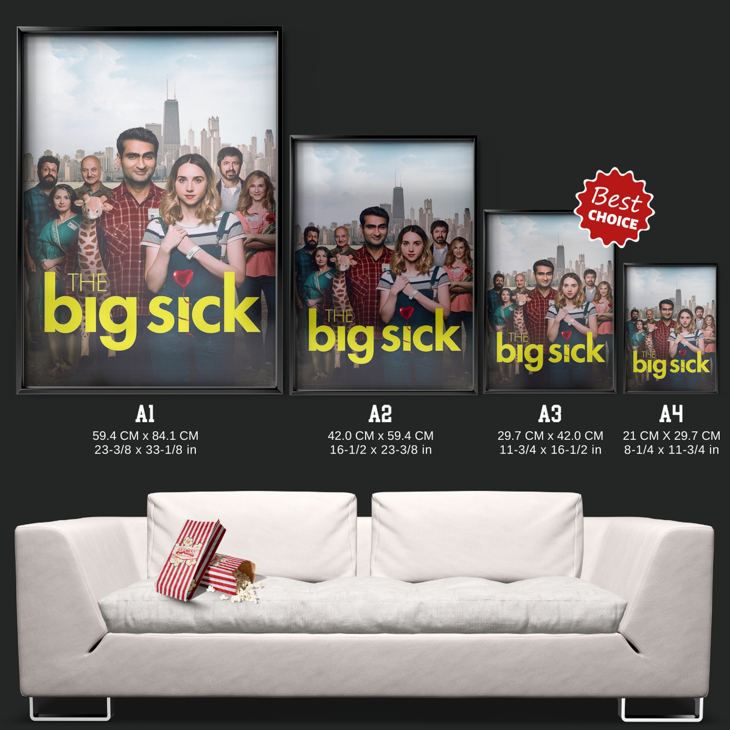 The Big Sick (2017)