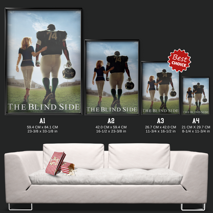 The Blind Side (2009)