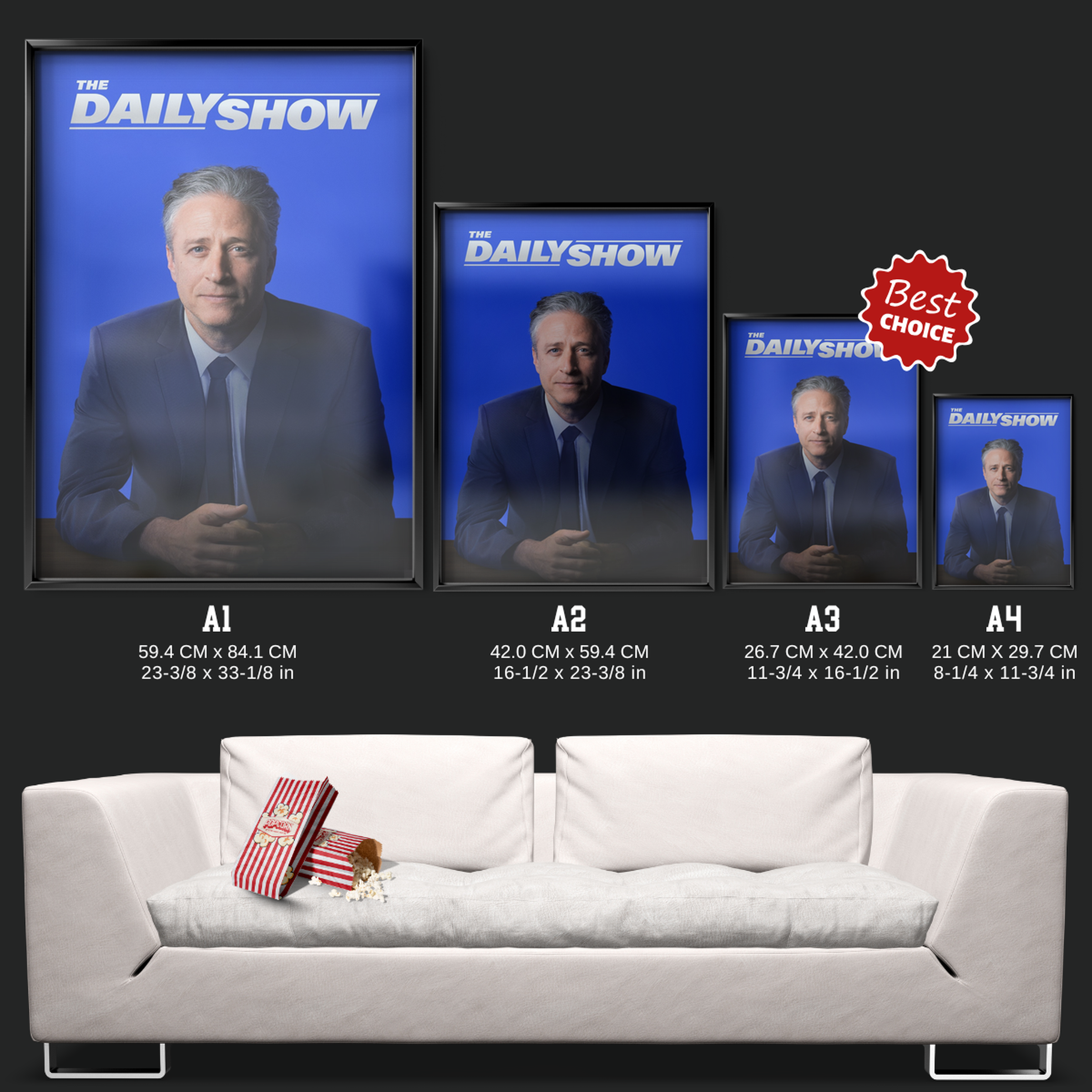 The Daily Show (1996)