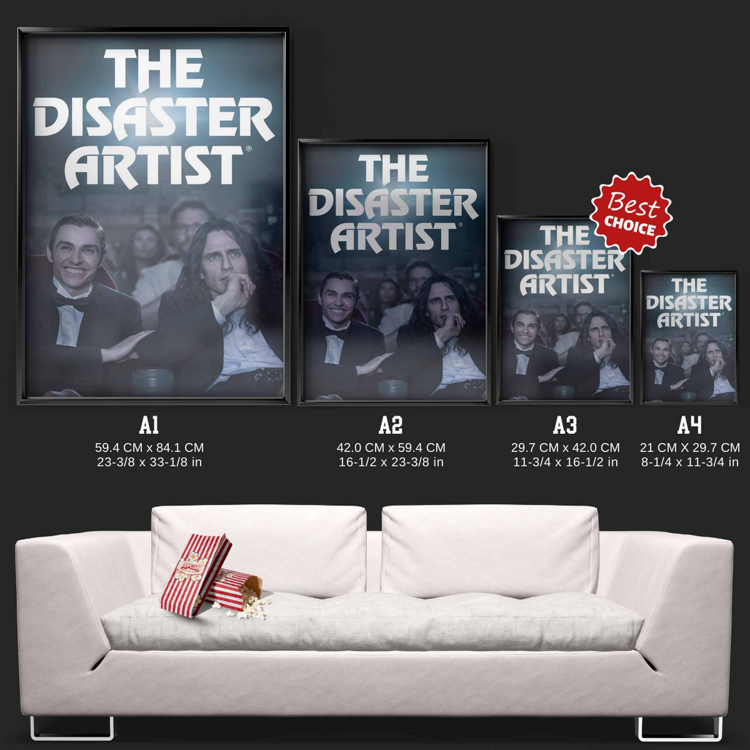 The Disaster Artist (2017)