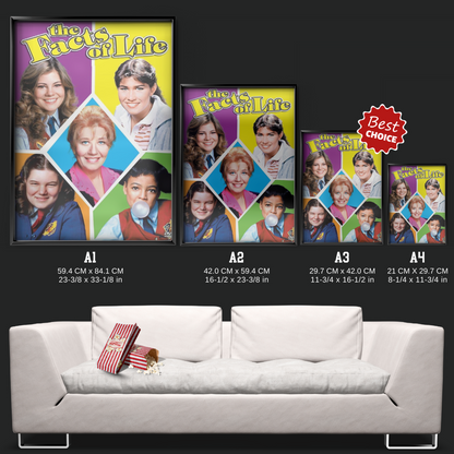 The Facts Of Life (1979)