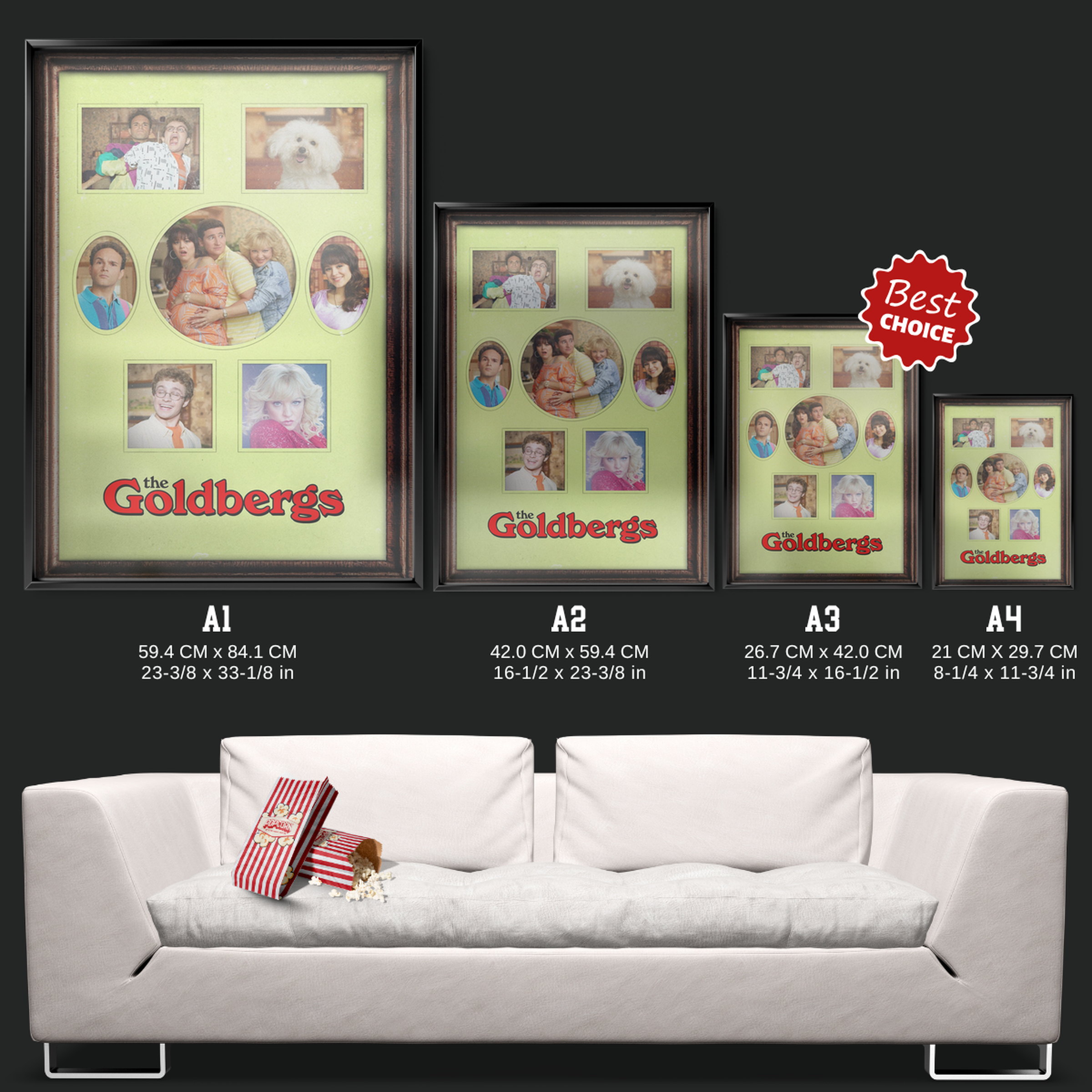 The Goldbergs (2013)