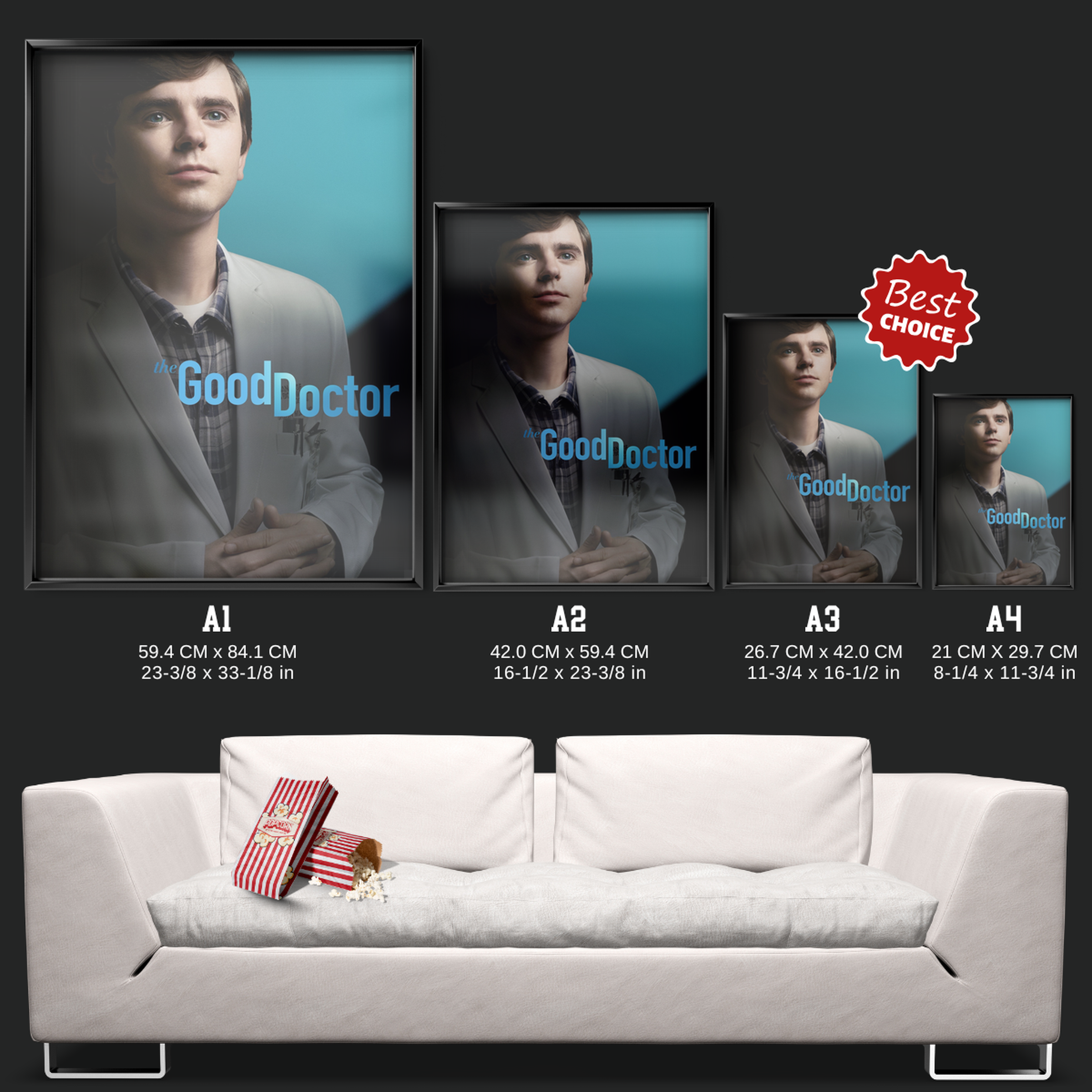 The Good Doctor (2017)