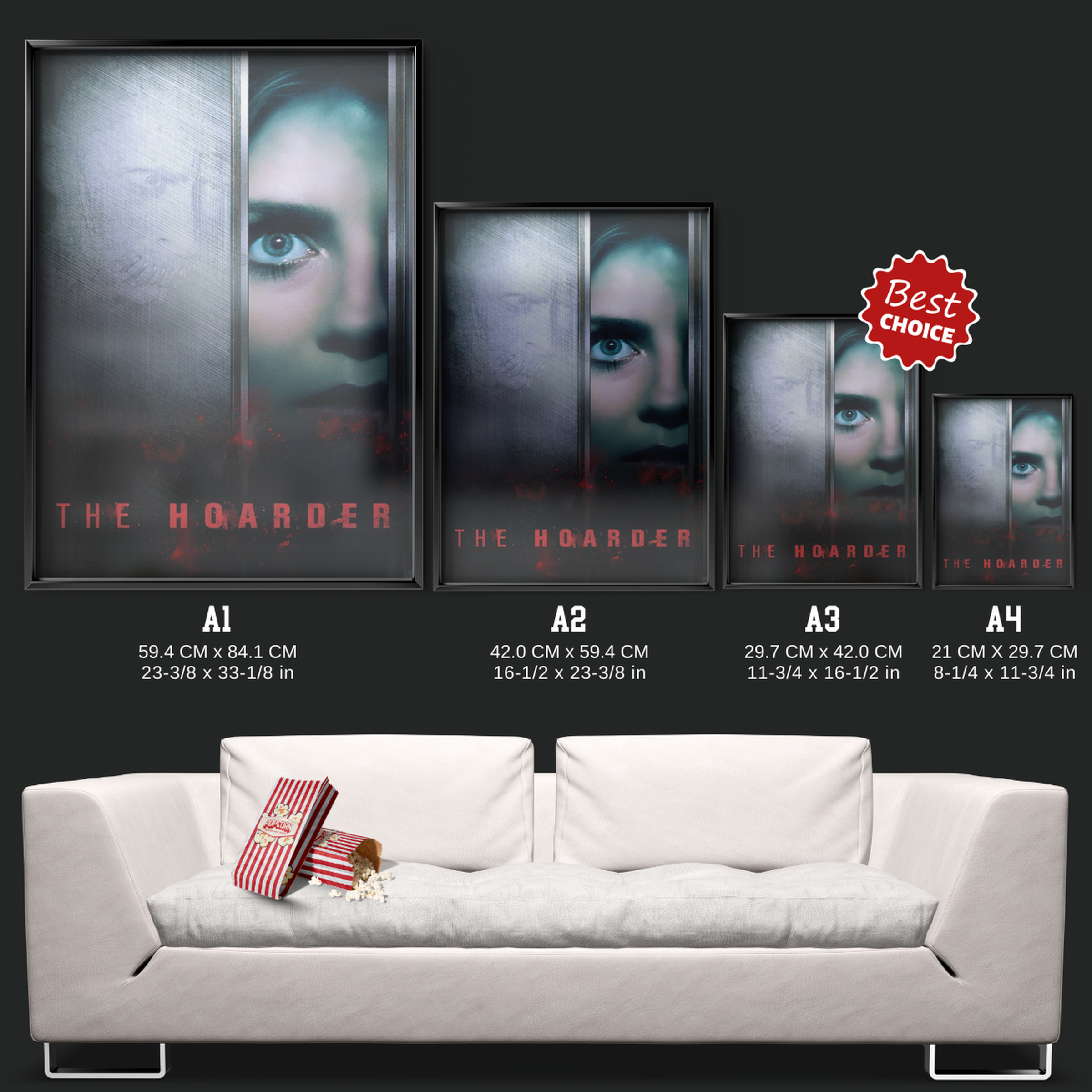 The Hoarder (2015)