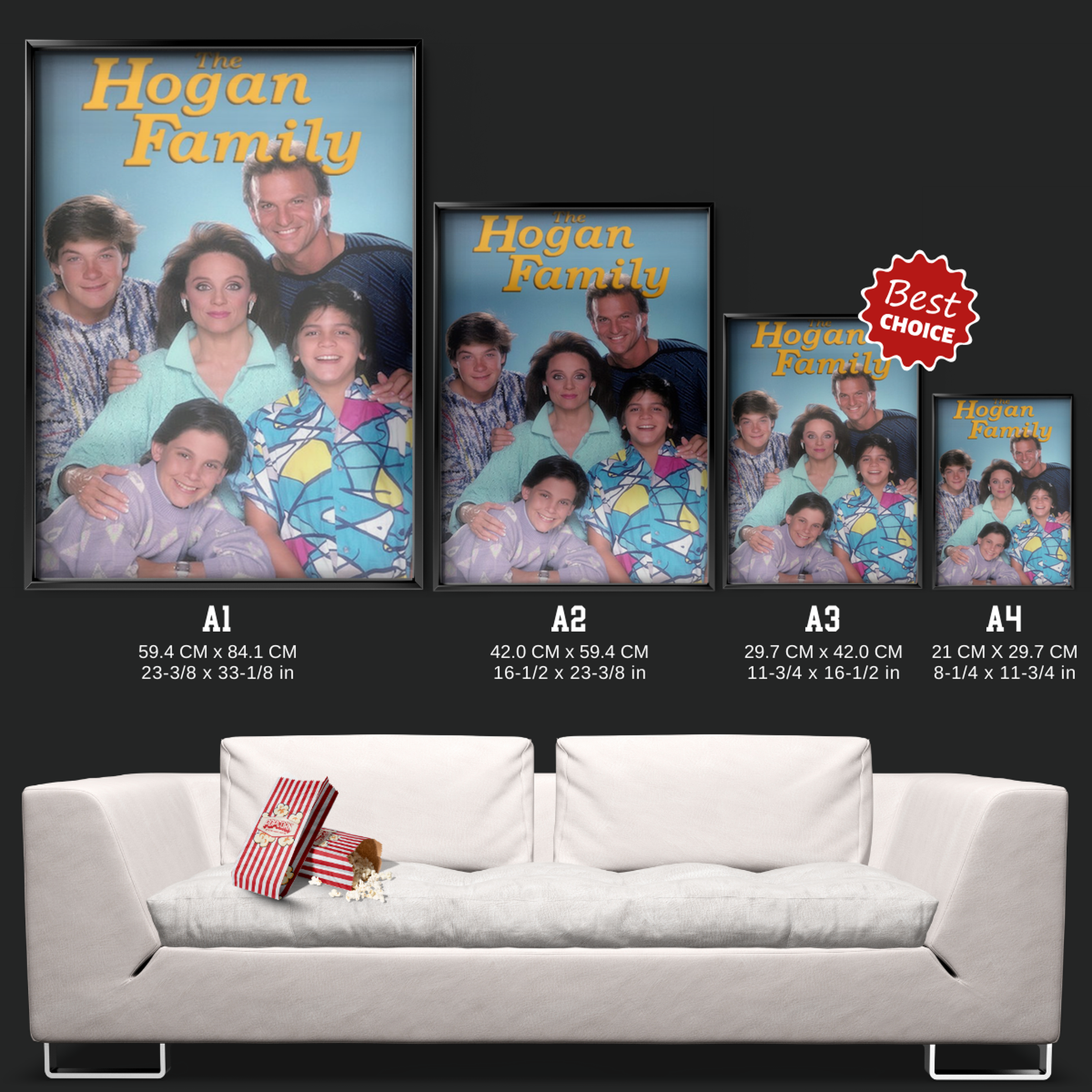 The Hogan Family (1986)