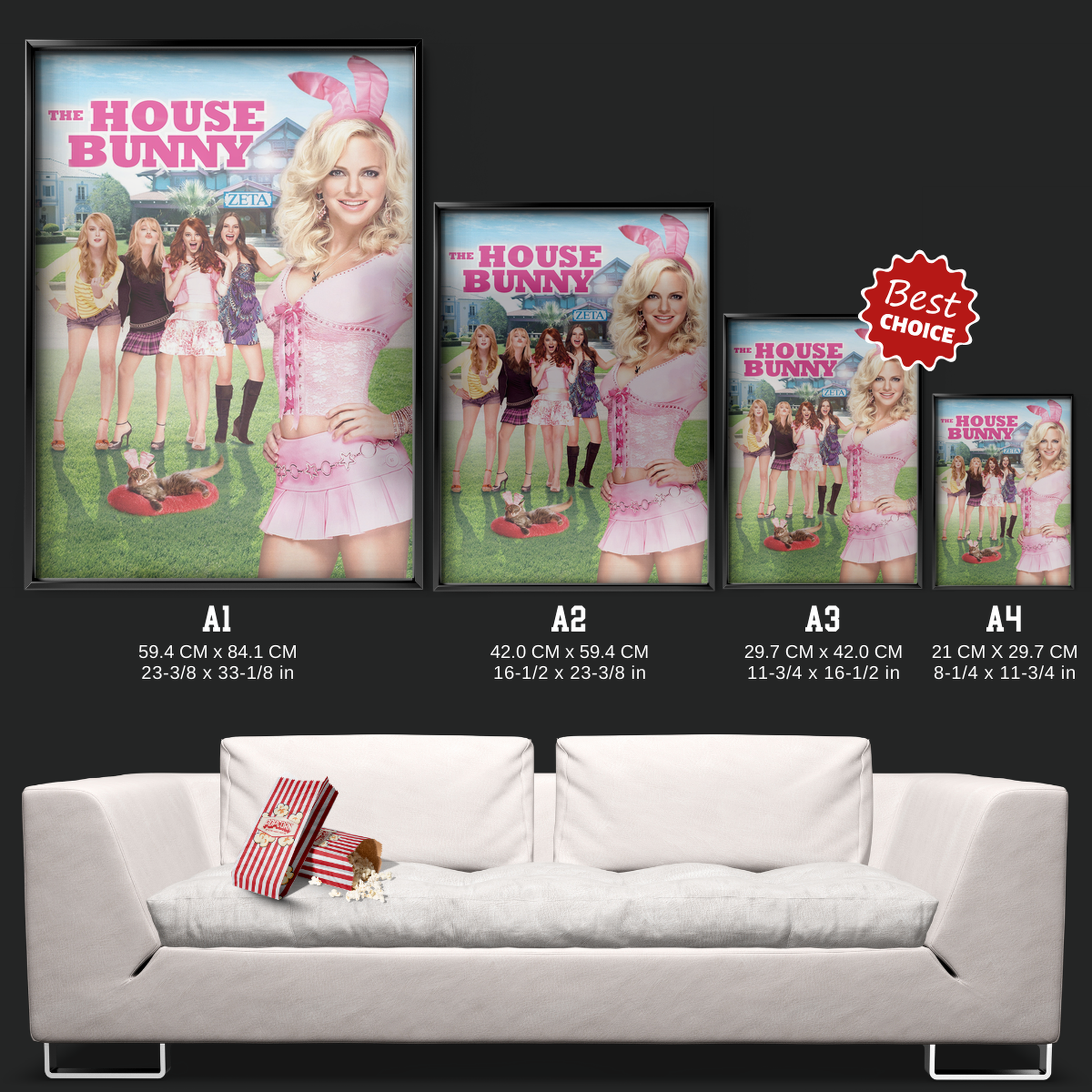 The House Bunny (2008)