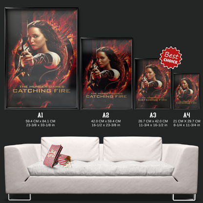The Hunger Games Catching Fire (2013)