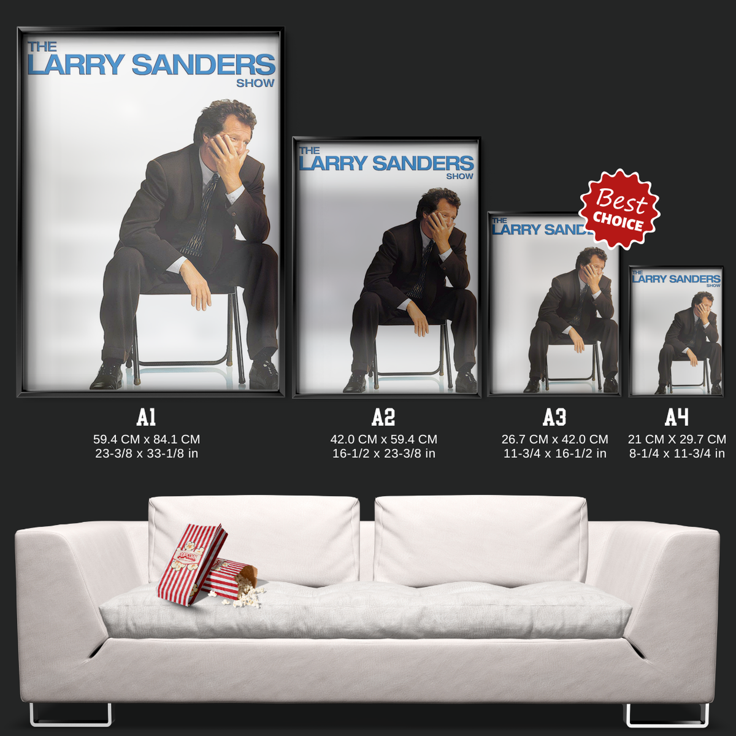 The Larry Sanders Show (1992)
