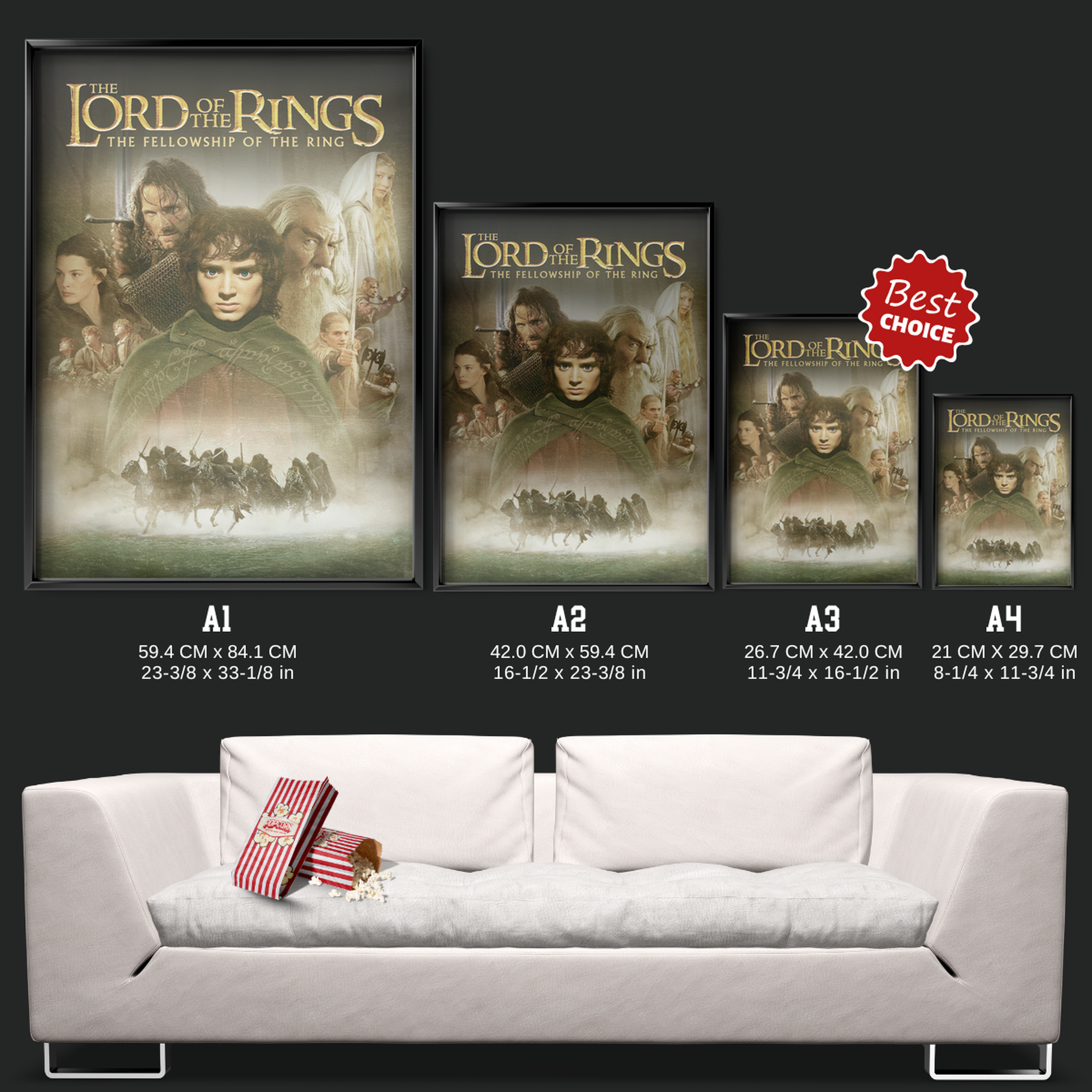 The Lord Of The Rings The Fellowship Of The Ring (2001)