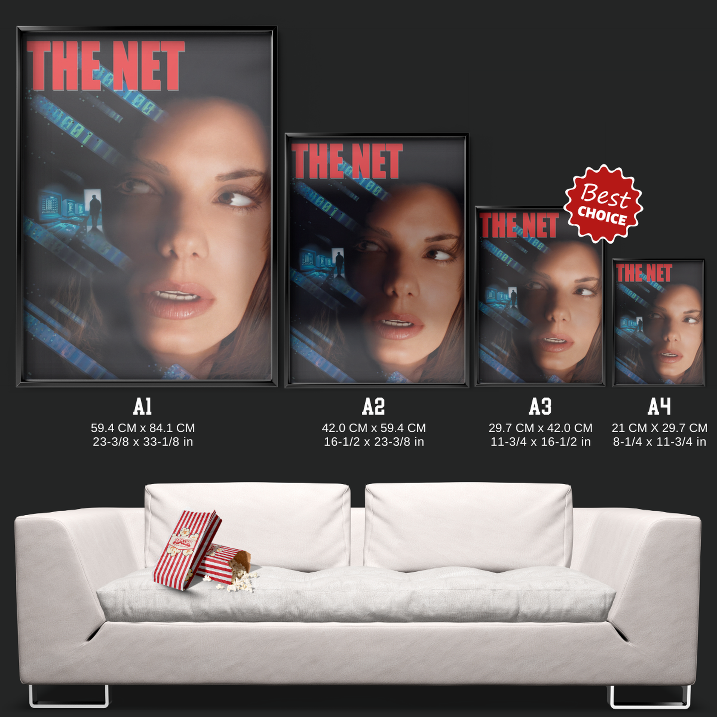 The Net (1995)