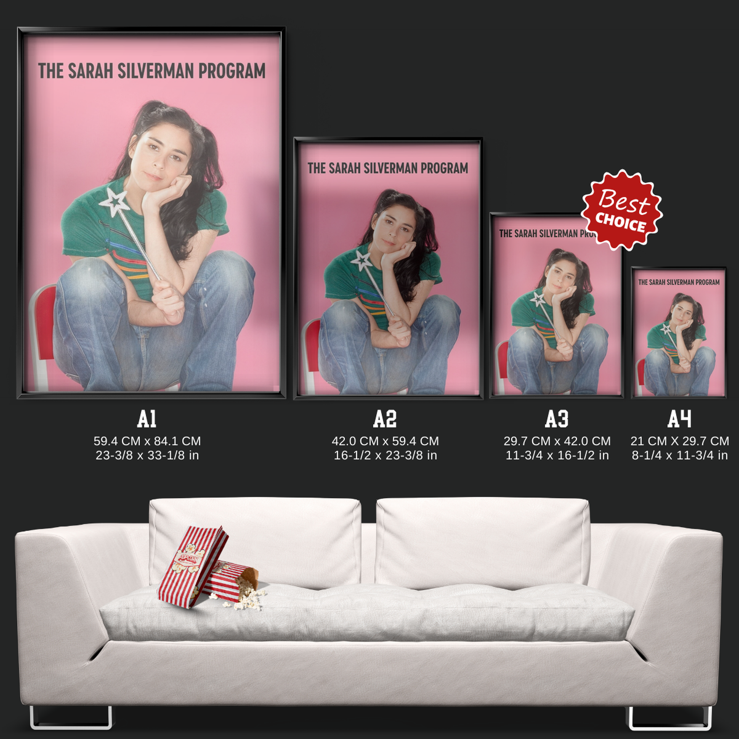 The Sarah Silverman Program. (2007)