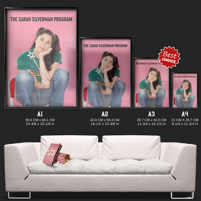 The Sarah Silverman Program. (2007)