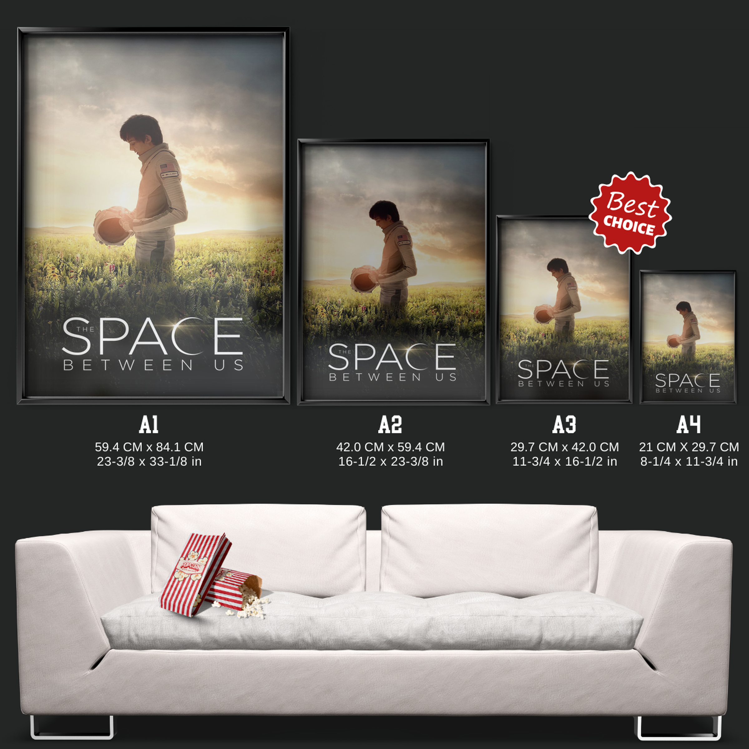 The Space Between Us (2017)