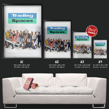 Trading Spaces (2000)