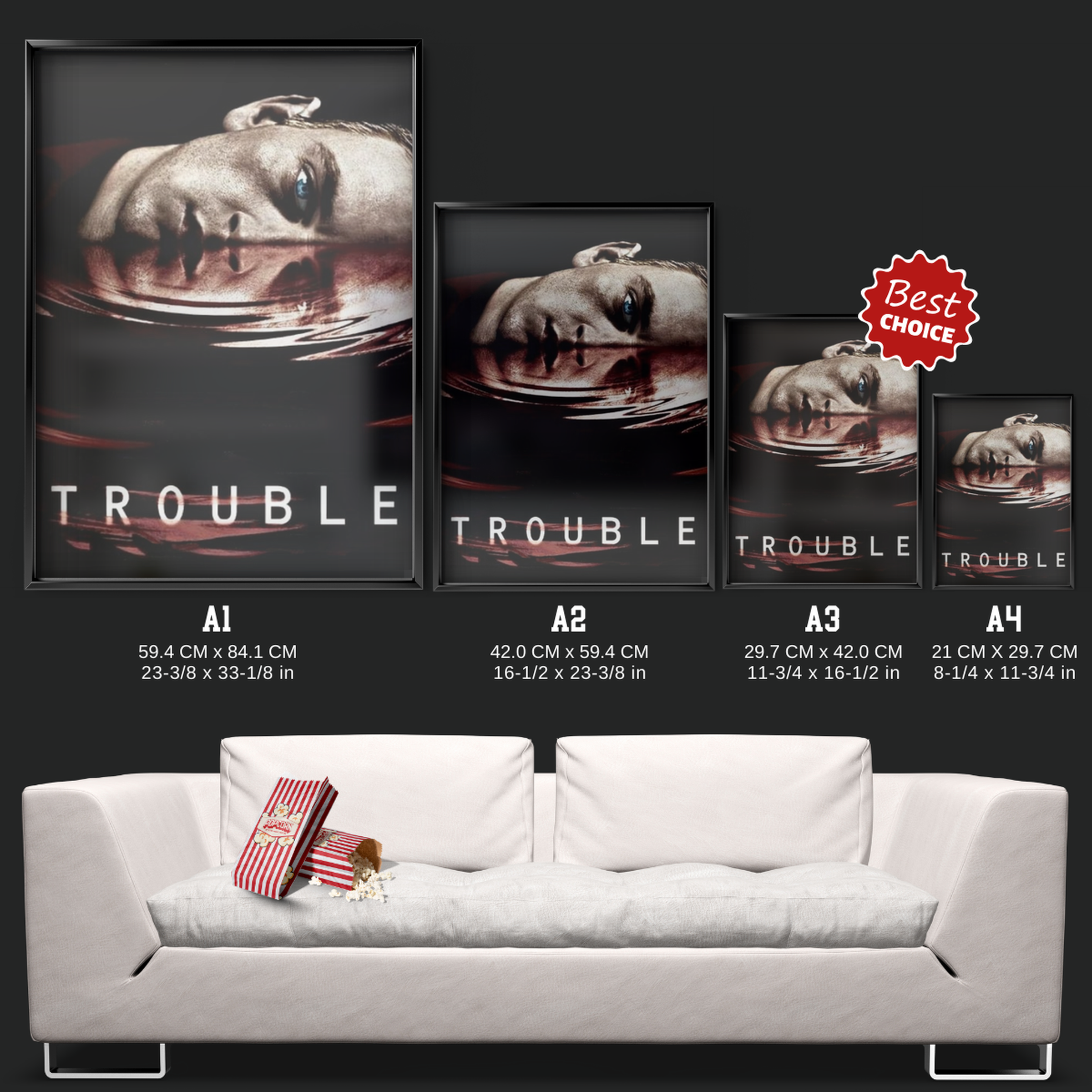 Trouble (2005)