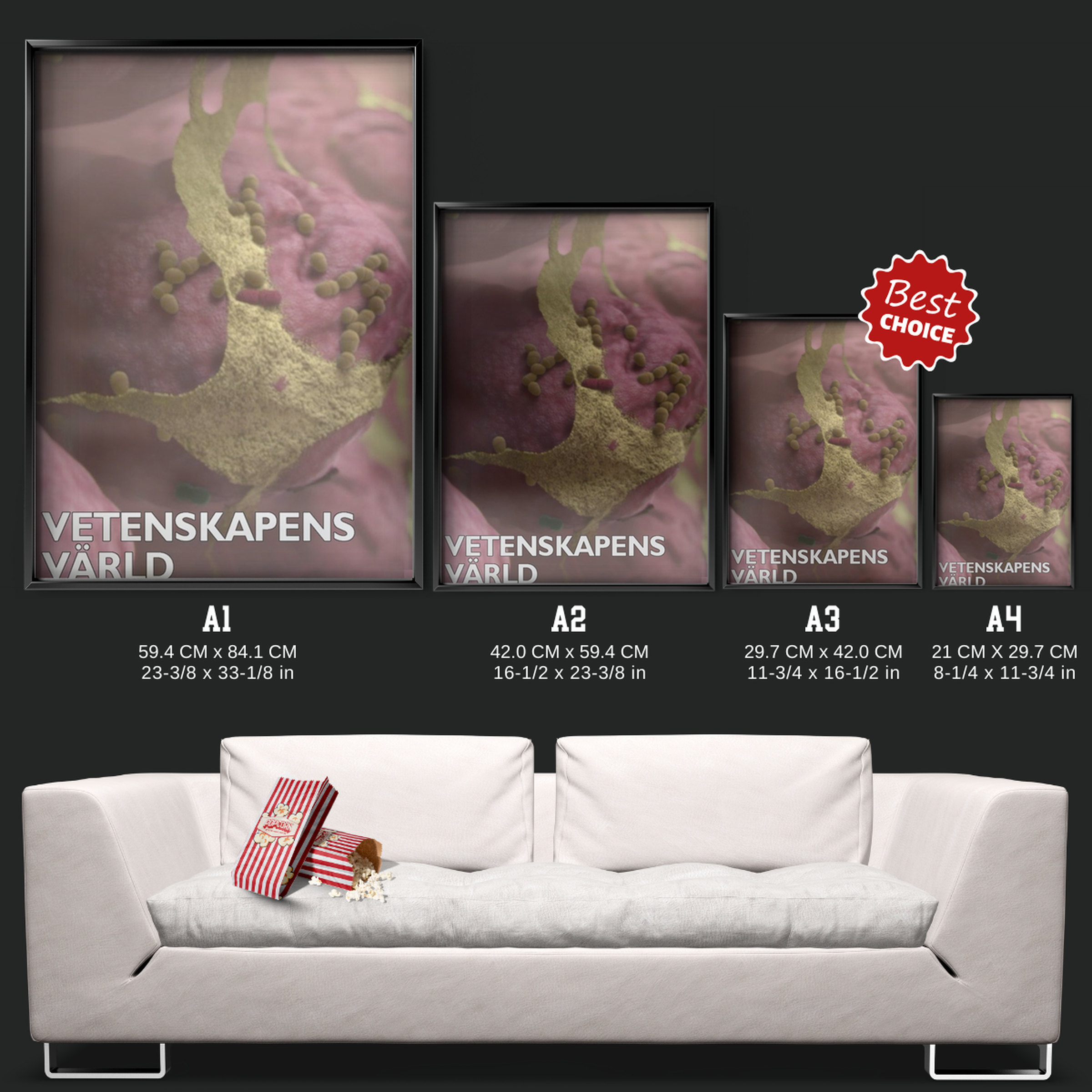 Vetenskapens Värld (1971)