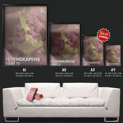 Vetenskapens Värld (1971)