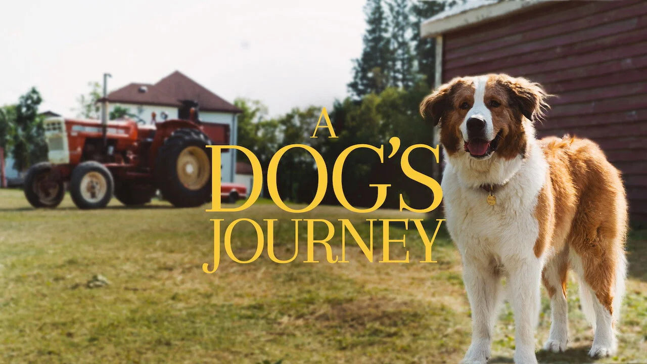 High quality A Dog's Journey (2019) prints online - Popcorn Poster Official