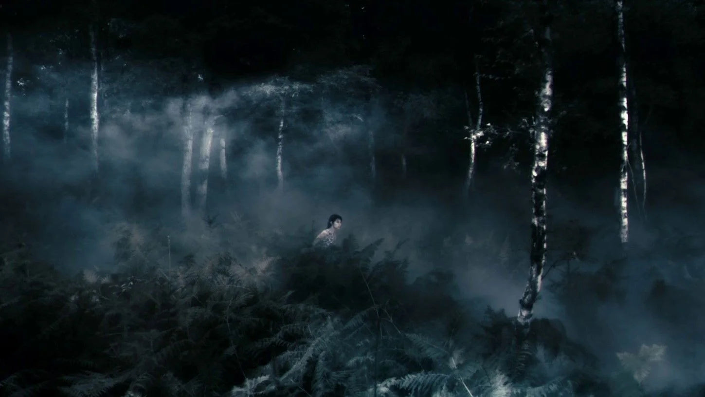 High quality Antichrist (2009) prints online - Popcorn Poster Official