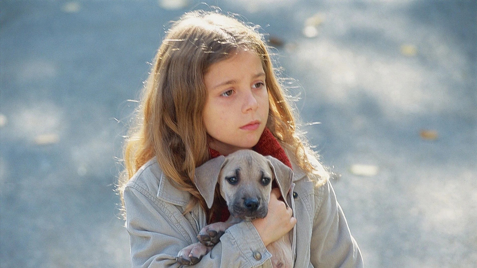 High quality Chestnut Hero of Central Park (2004) prints online - Popcorn Poster Official