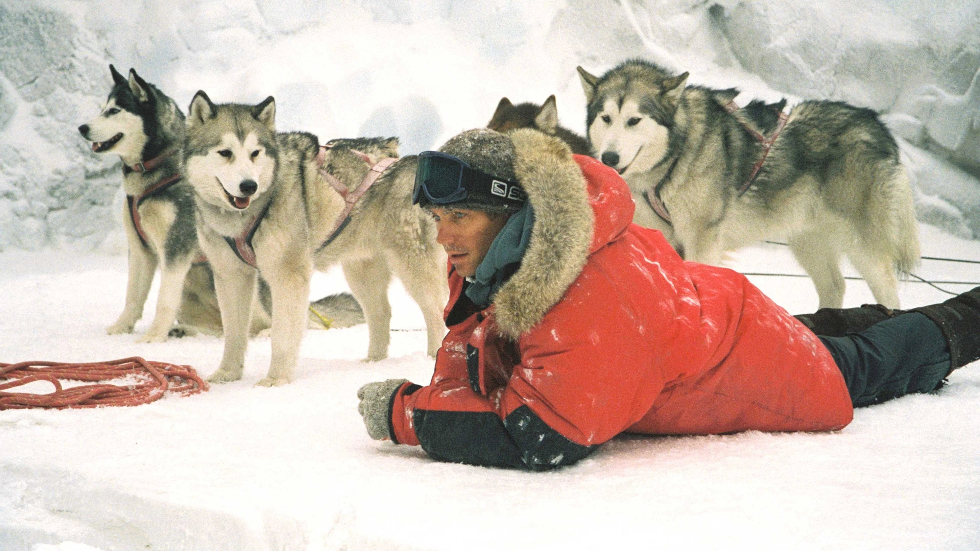 High quality Eight Below (2006) prints online - Popcorn Poster Official