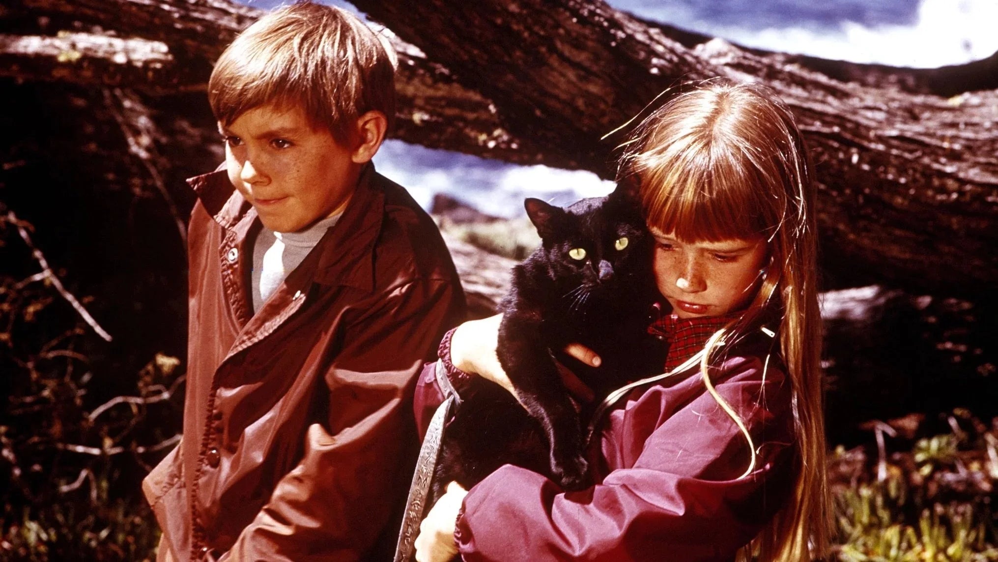 High quality Escape to Witch Mountain (1975) prints online - Popcorn Poster Official