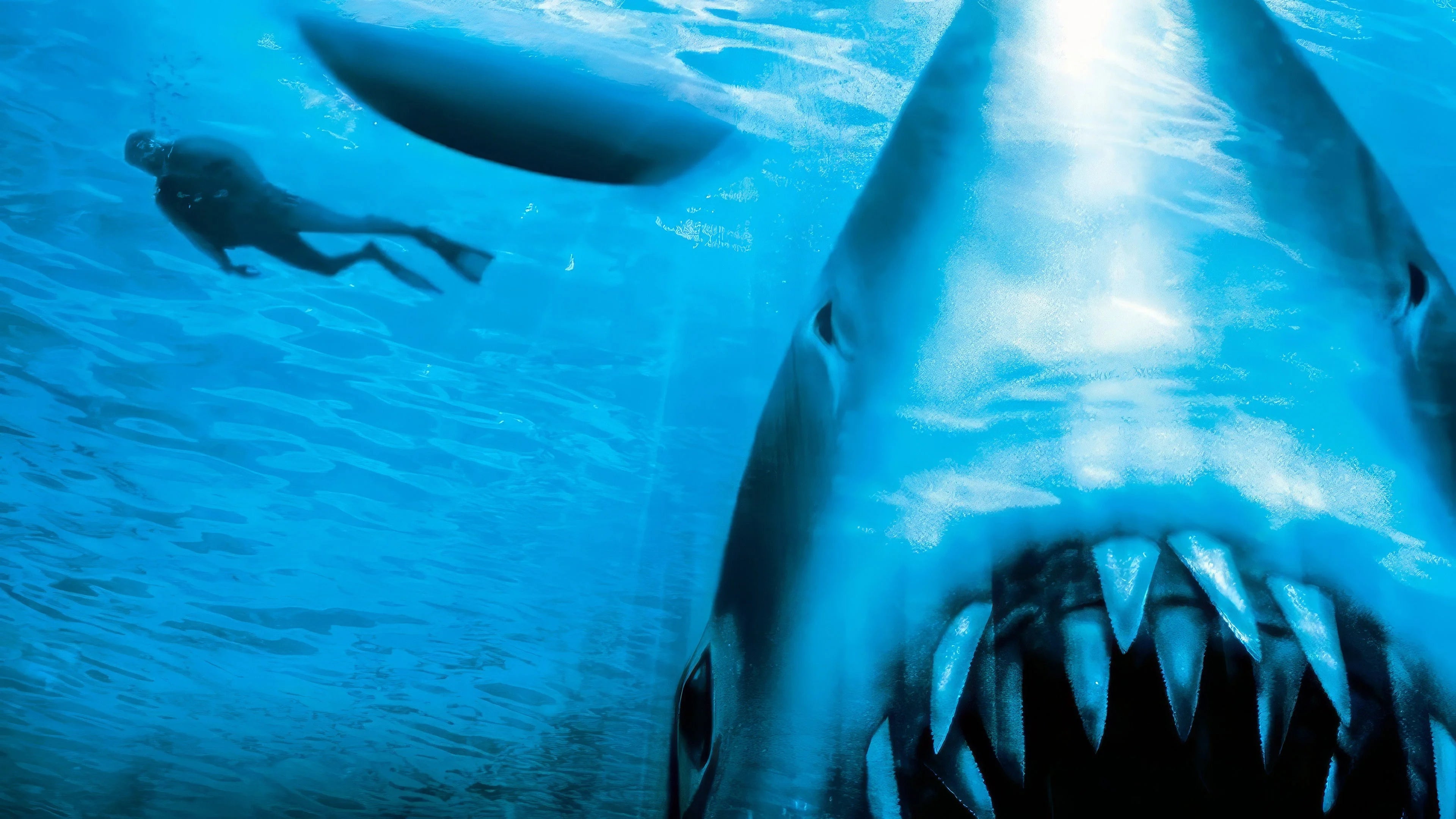 High quality Jaws The Revenge (1987) prints online - Popcorn Poster Official