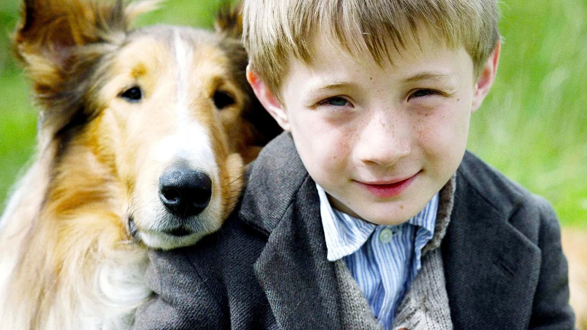 High quality Lassie (2005) prints online - Popcorn Poster Official