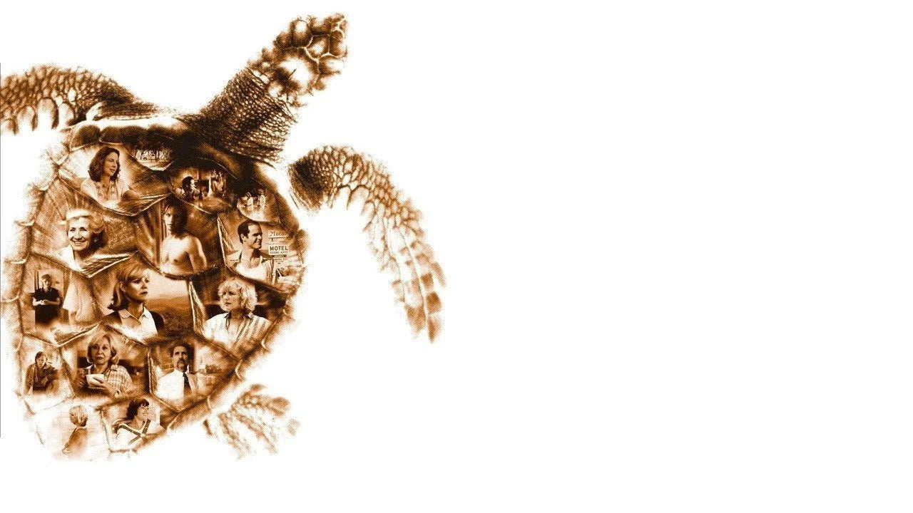 High quality Loggerheads (2005) prints online - Popcorn Poster Official