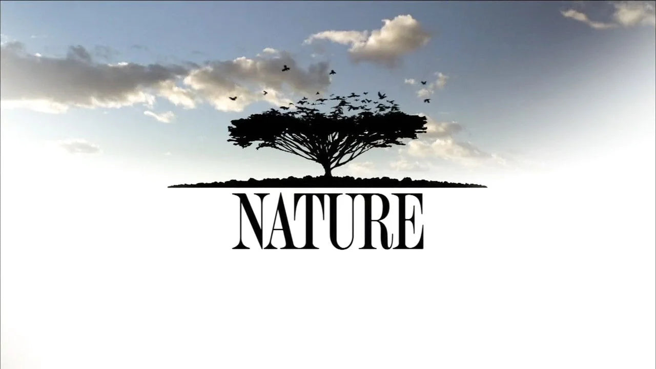 High quality Nature (1982) prints online - Popcorn Poster Official