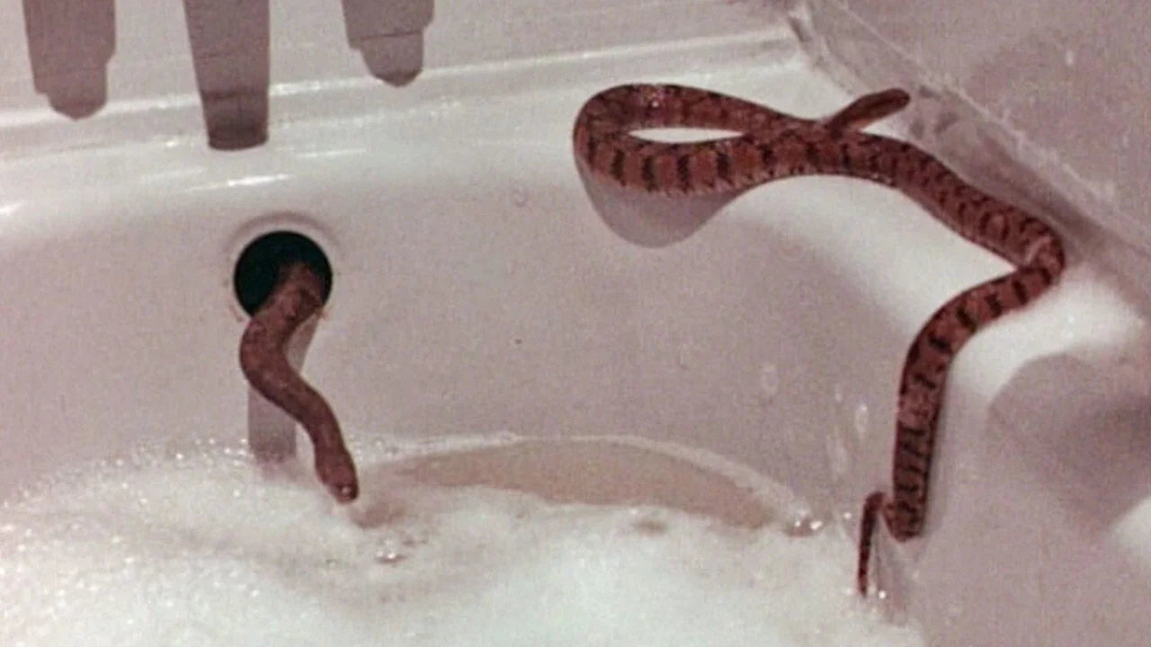 High quality Rattlers (1976) prints online - Popcorn Poster Official