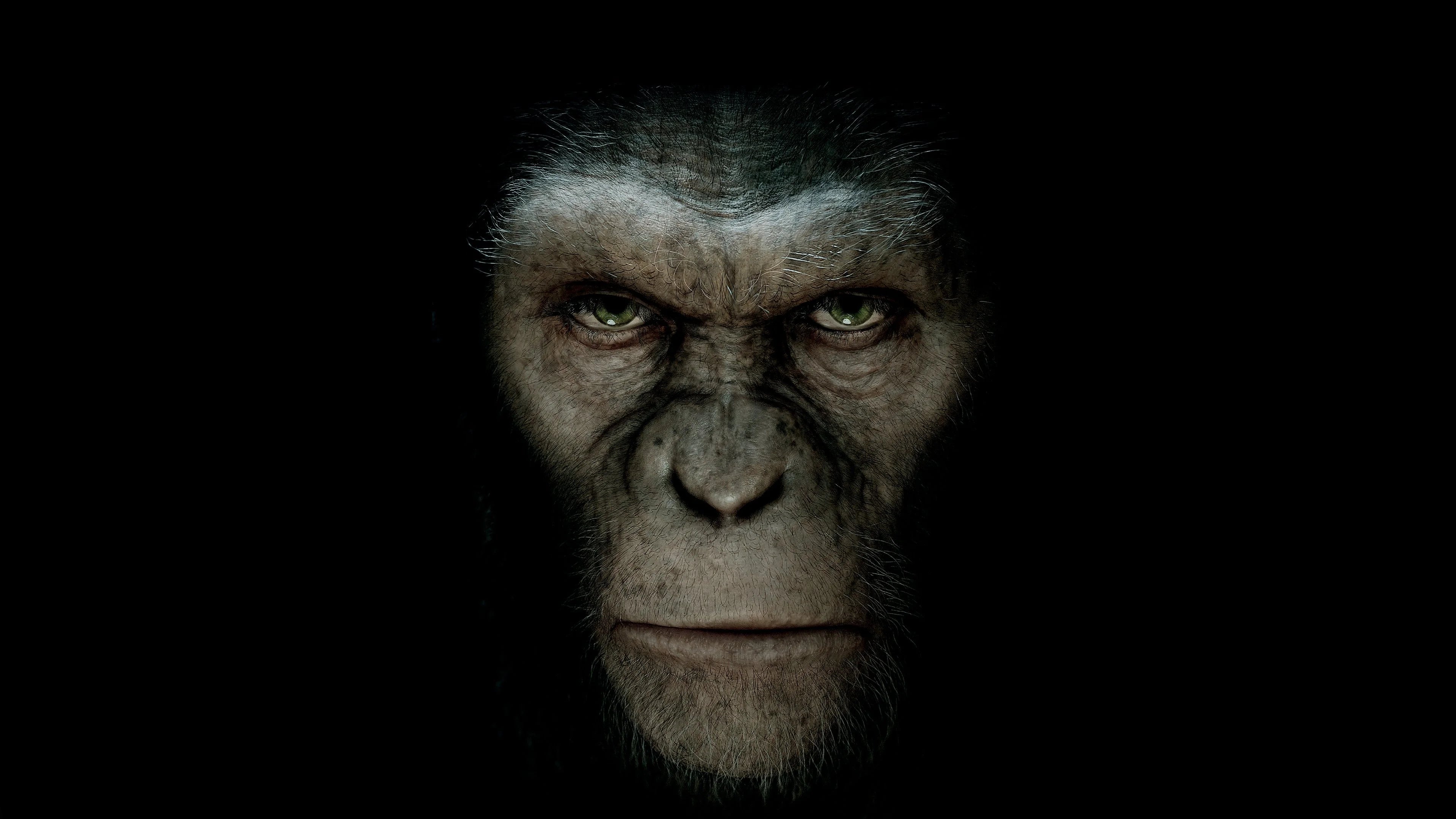 High quality Rise of the Planet of the Apes (2011) prints online - Popcorn Poster Official