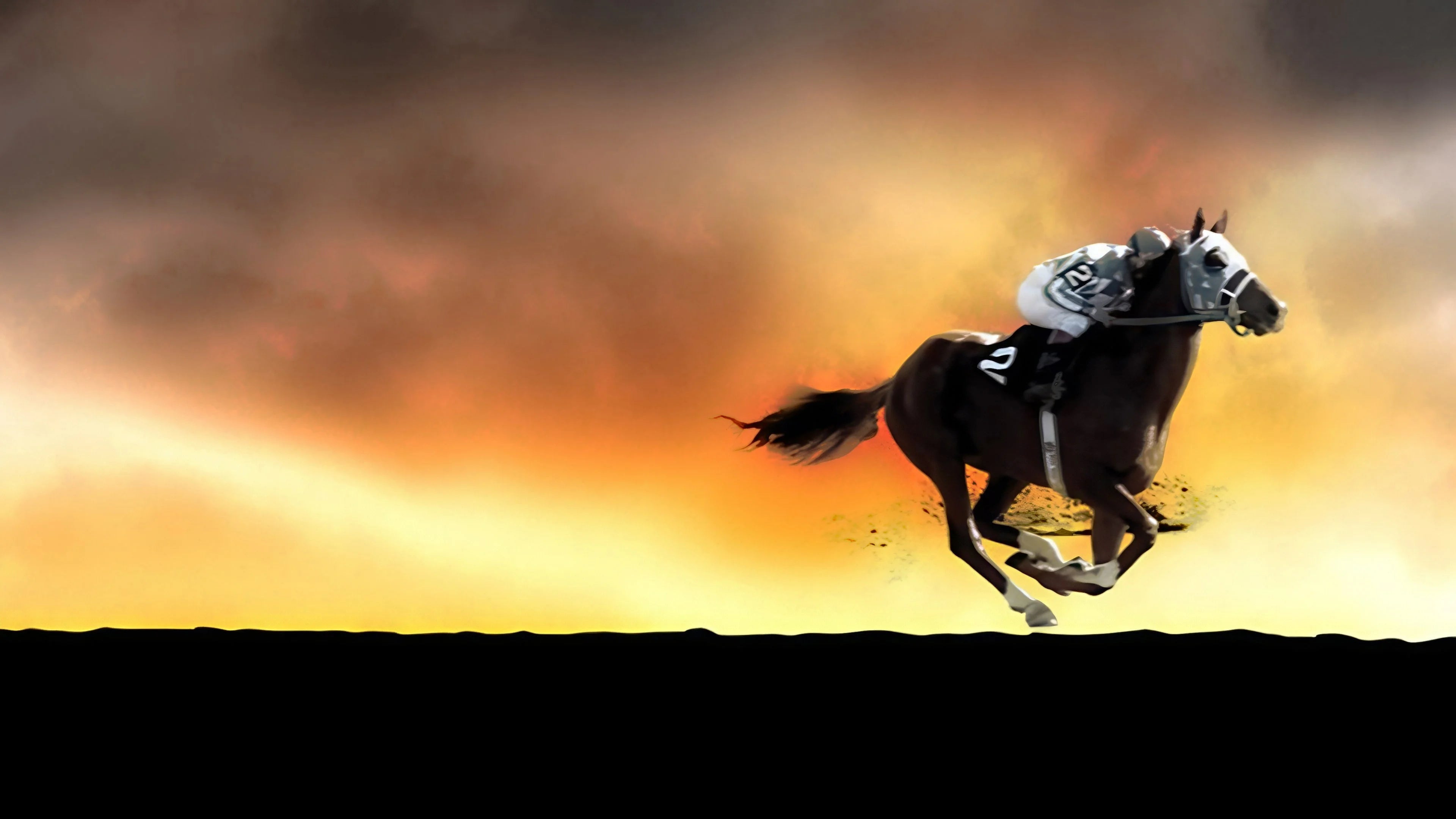 High quality Secretariat (2010) prints online - Popcorn Poster Official