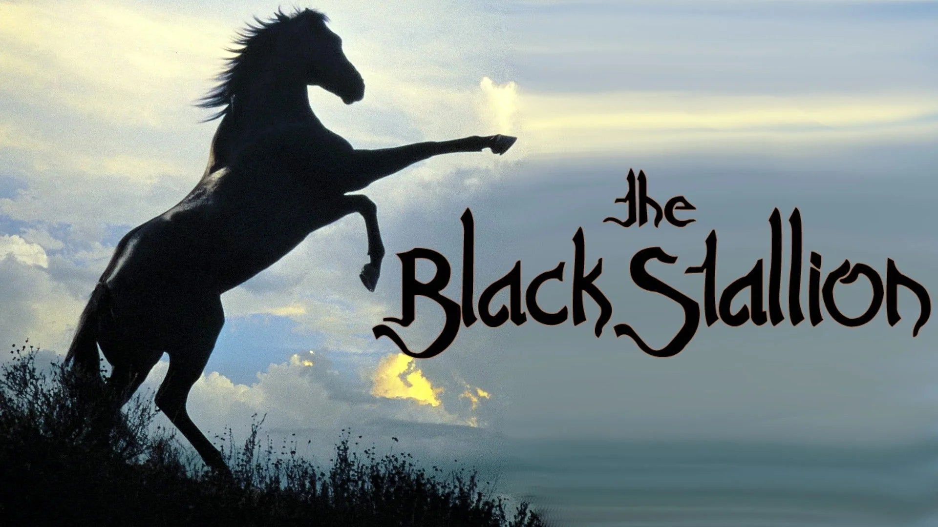 High quality The Black Stallion (1979) prints online - Popcorn Poster Official