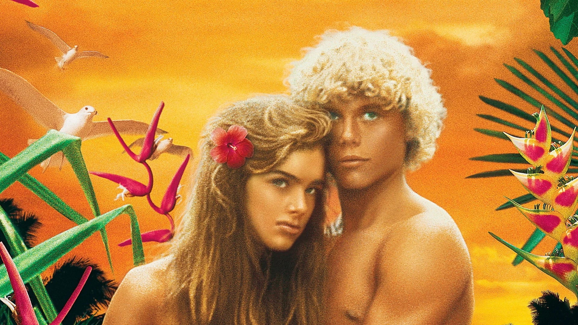 High quality The Blue Lagoon (1980) prints online - Popcorn Poster Official