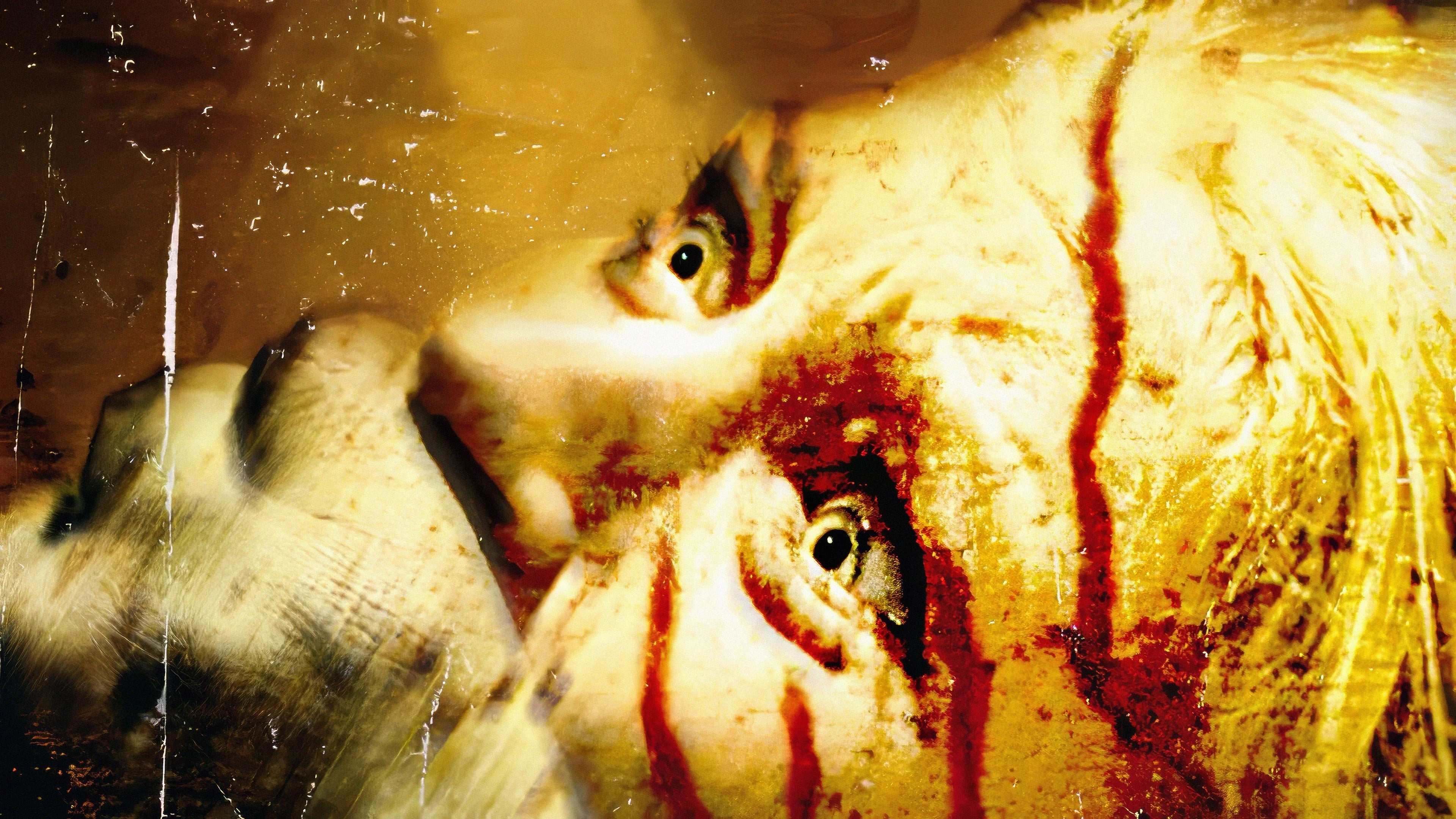 High quality The Hills Have Eyes (2006) prints online - Popcorn Poster Official