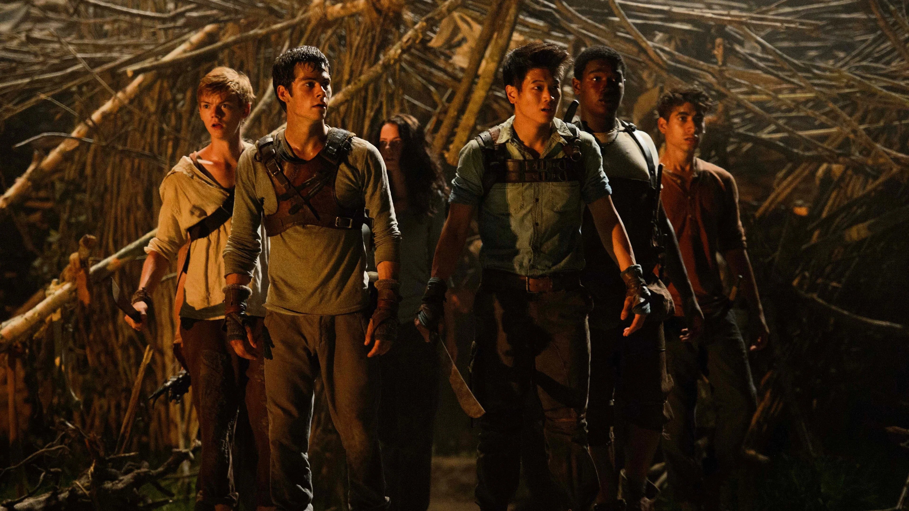 High quality The Maze Runner (2014) prints online - Popcorn Poster Official