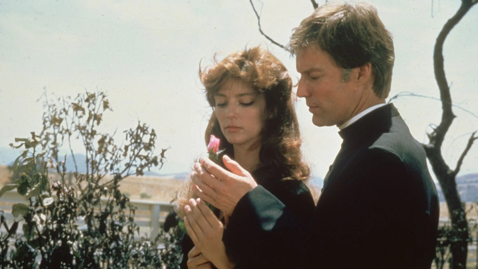 High quality The Thorn Birds (1983) prints online - Popcorn Poster Official
