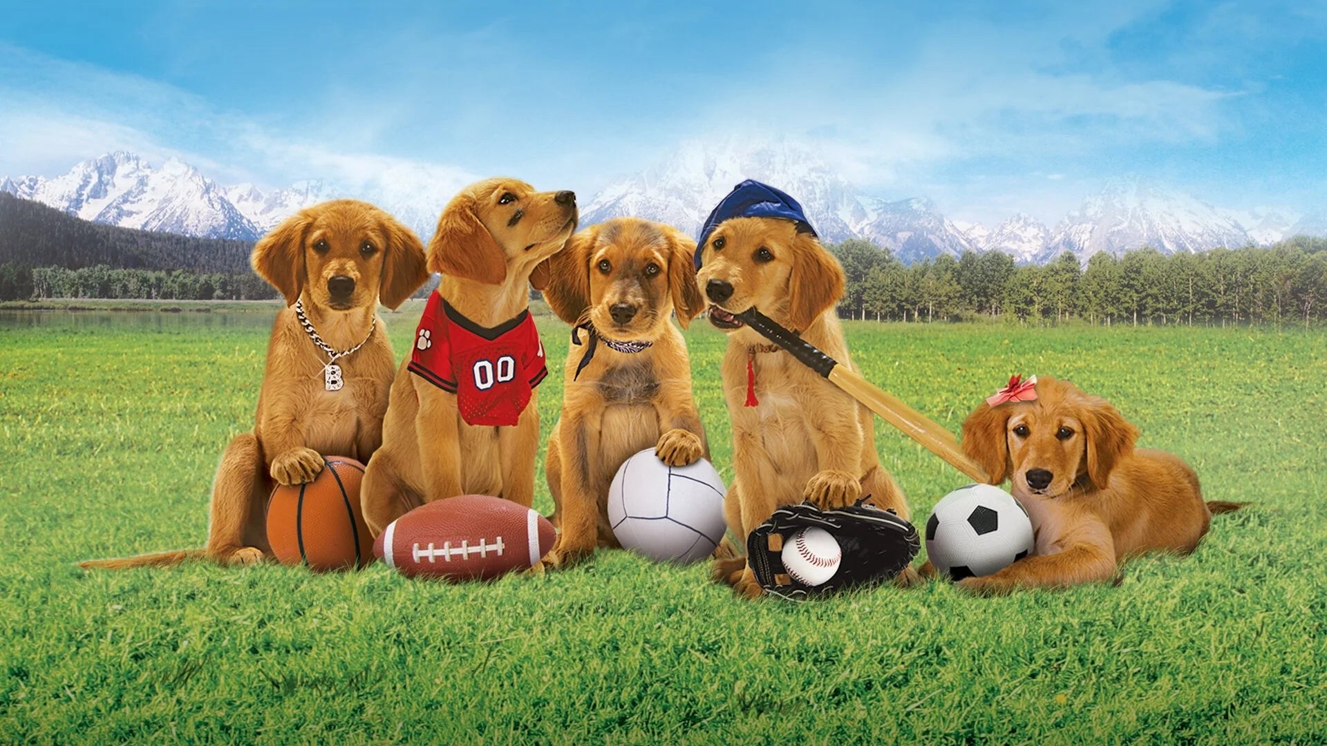 Air Buddies (2006) home theater movie art - The Popcorn Poster Store