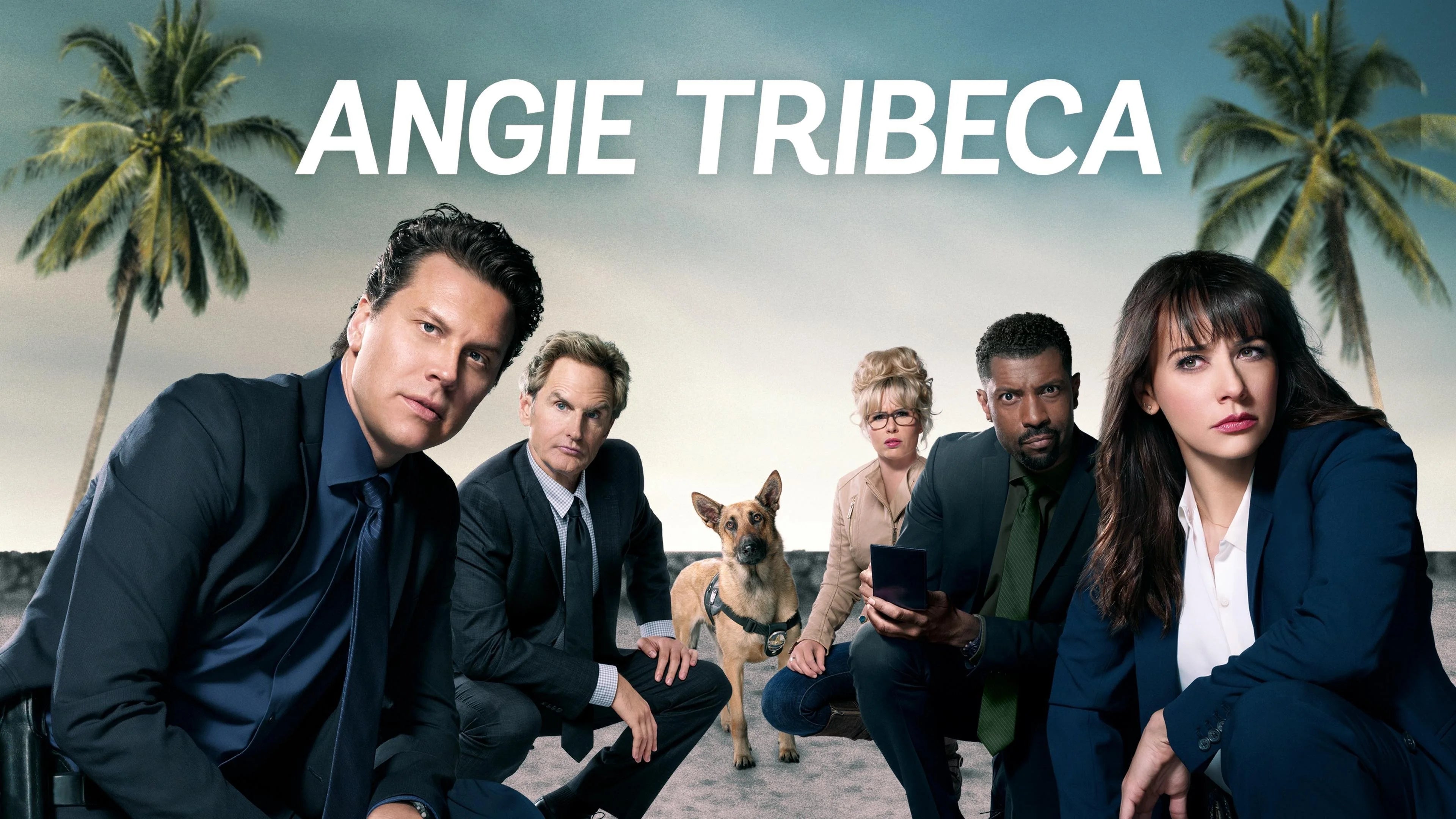 Angie Tribeca (2016) home theater movie art - The Popcorn Poster Store