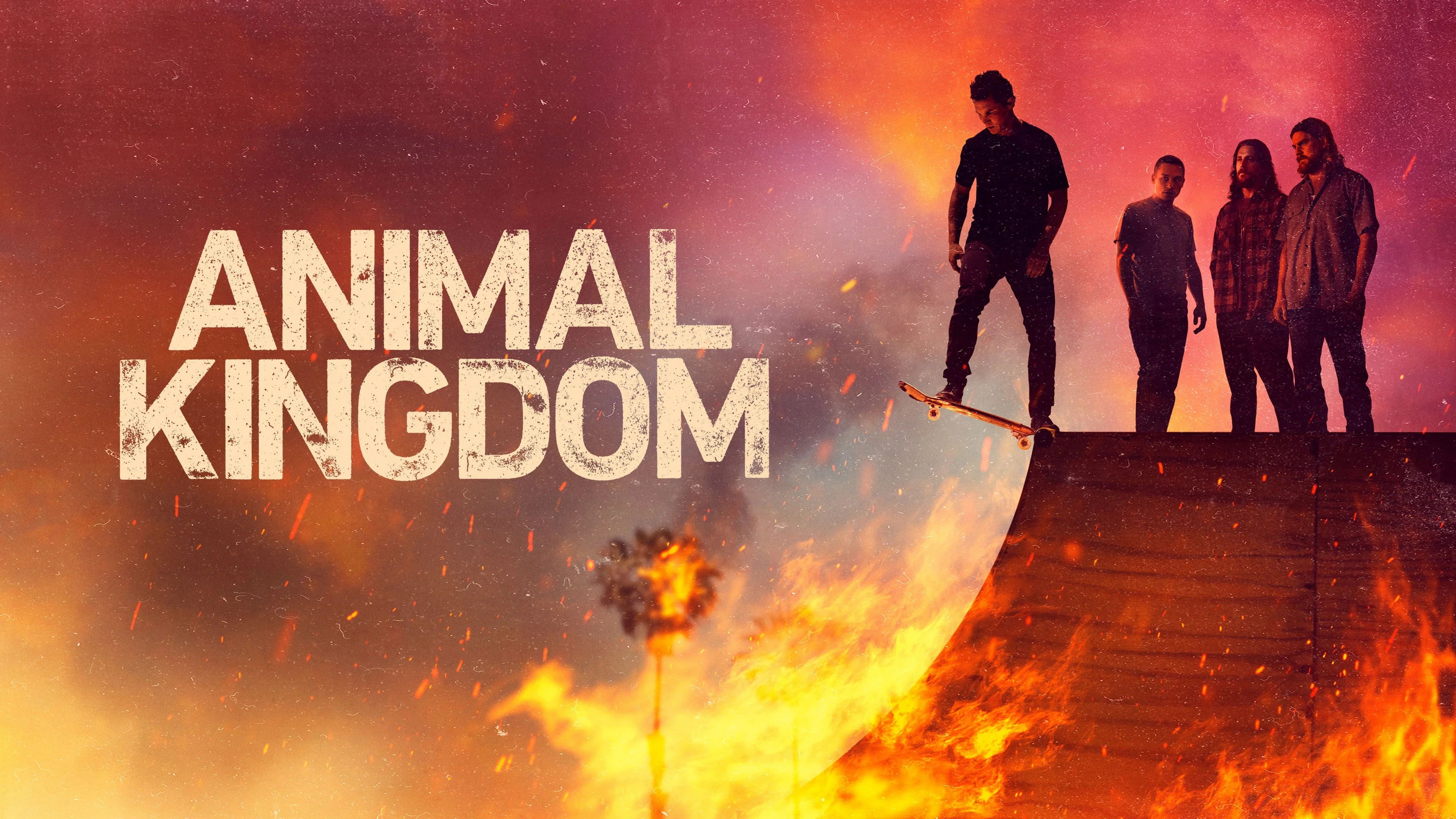 Animal Kingdom (2016) home theater movie art - The Popcorn Poster Store