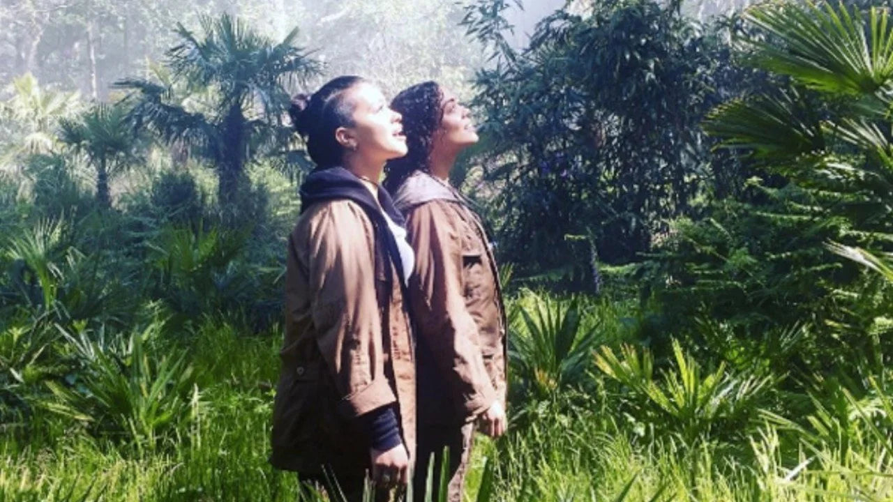 Annihilation (2018) home theater movie art - The Popcorn Poster Store