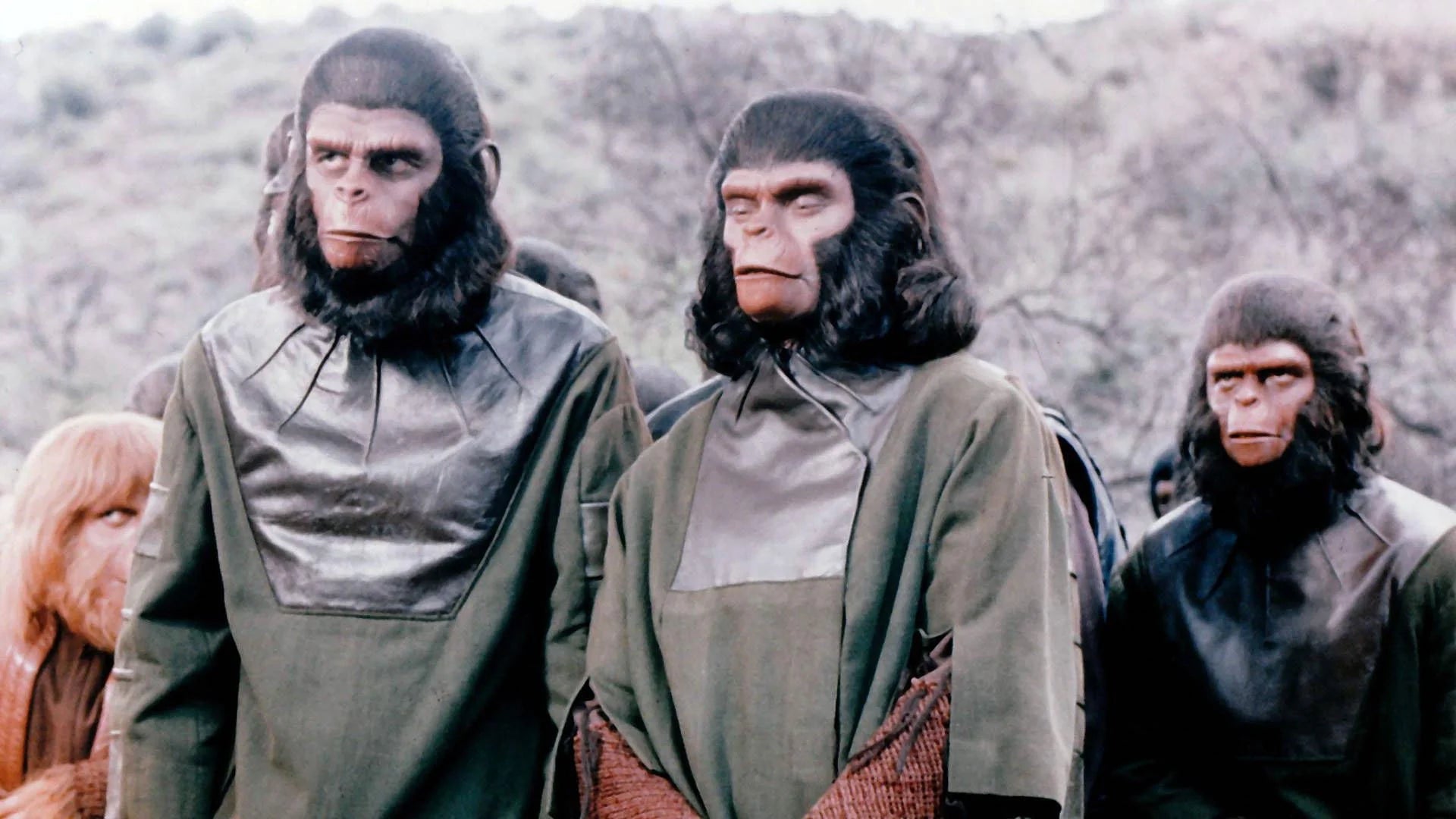 Battle for the Planet of the Apes (1973) home theater movie art - The Popcorn Poster Store