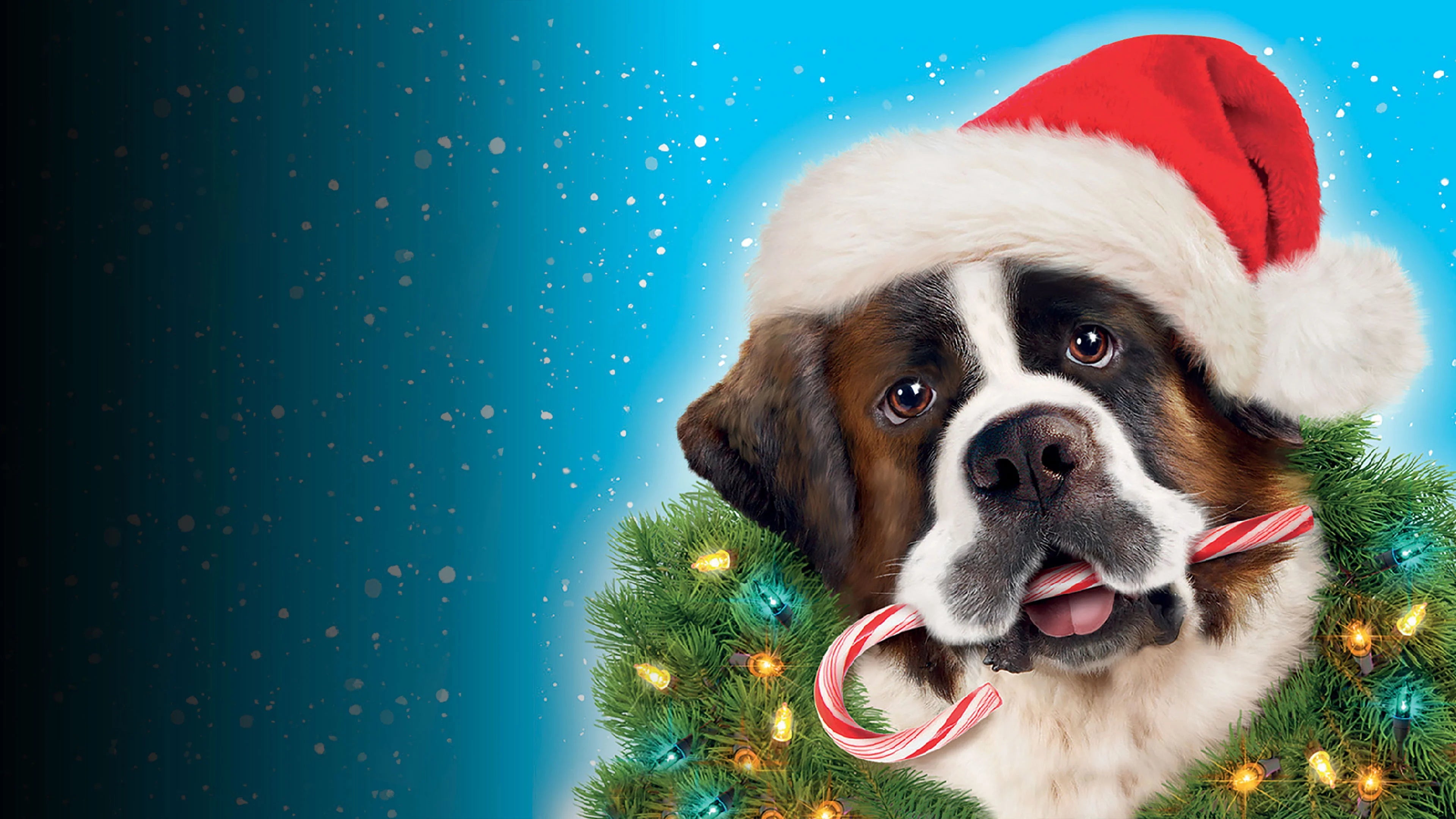 Beethoven's Christmas Adventure (2011) home theater movie art - The Popcorn Poster Store