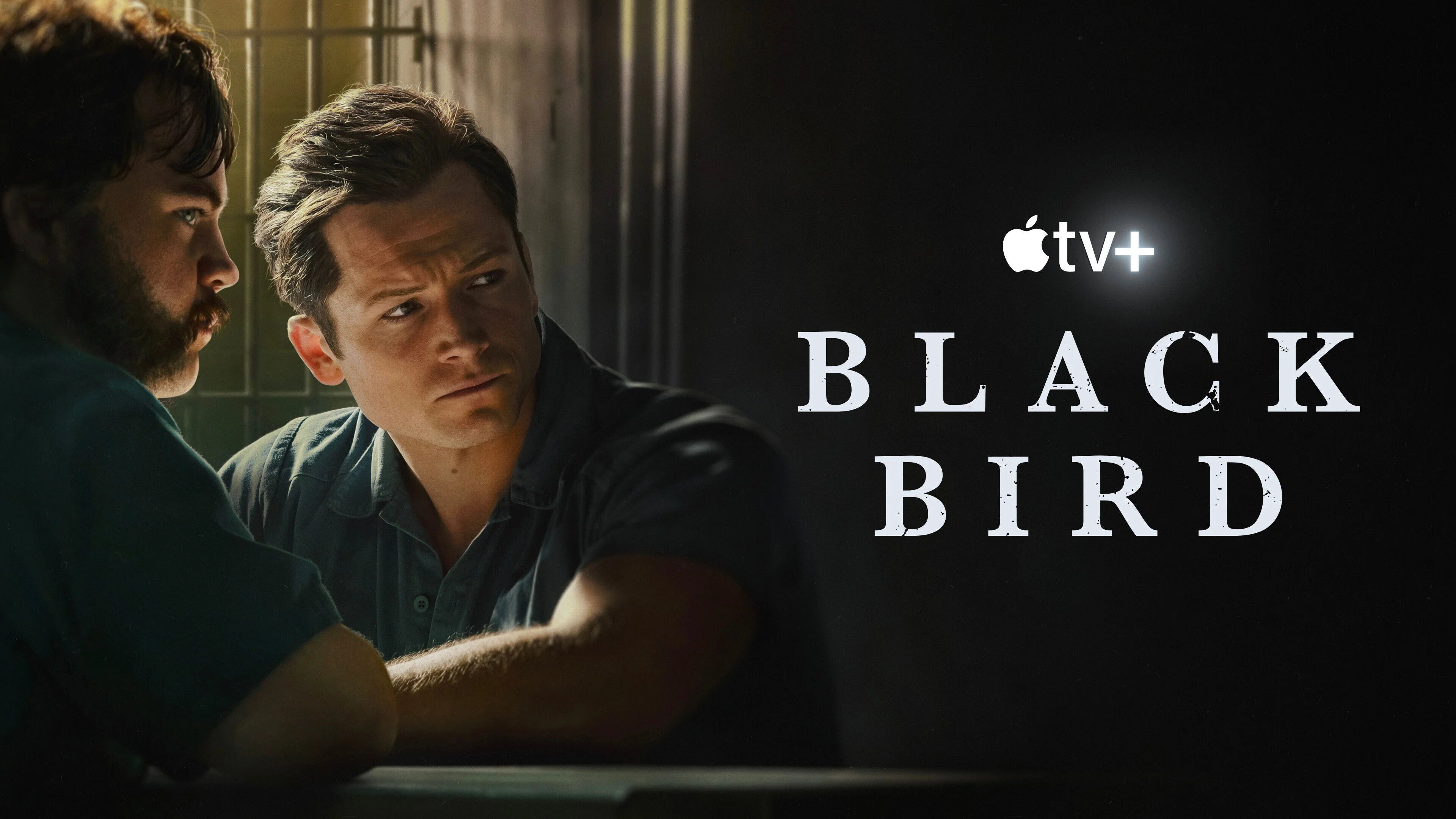 Black Bird (2022) home theater movie art - The Popcorn Poster Store
