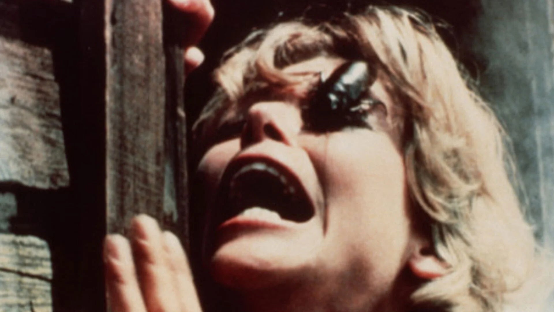 Bug (1975) home theater movie art - The Popcorn Poster Store