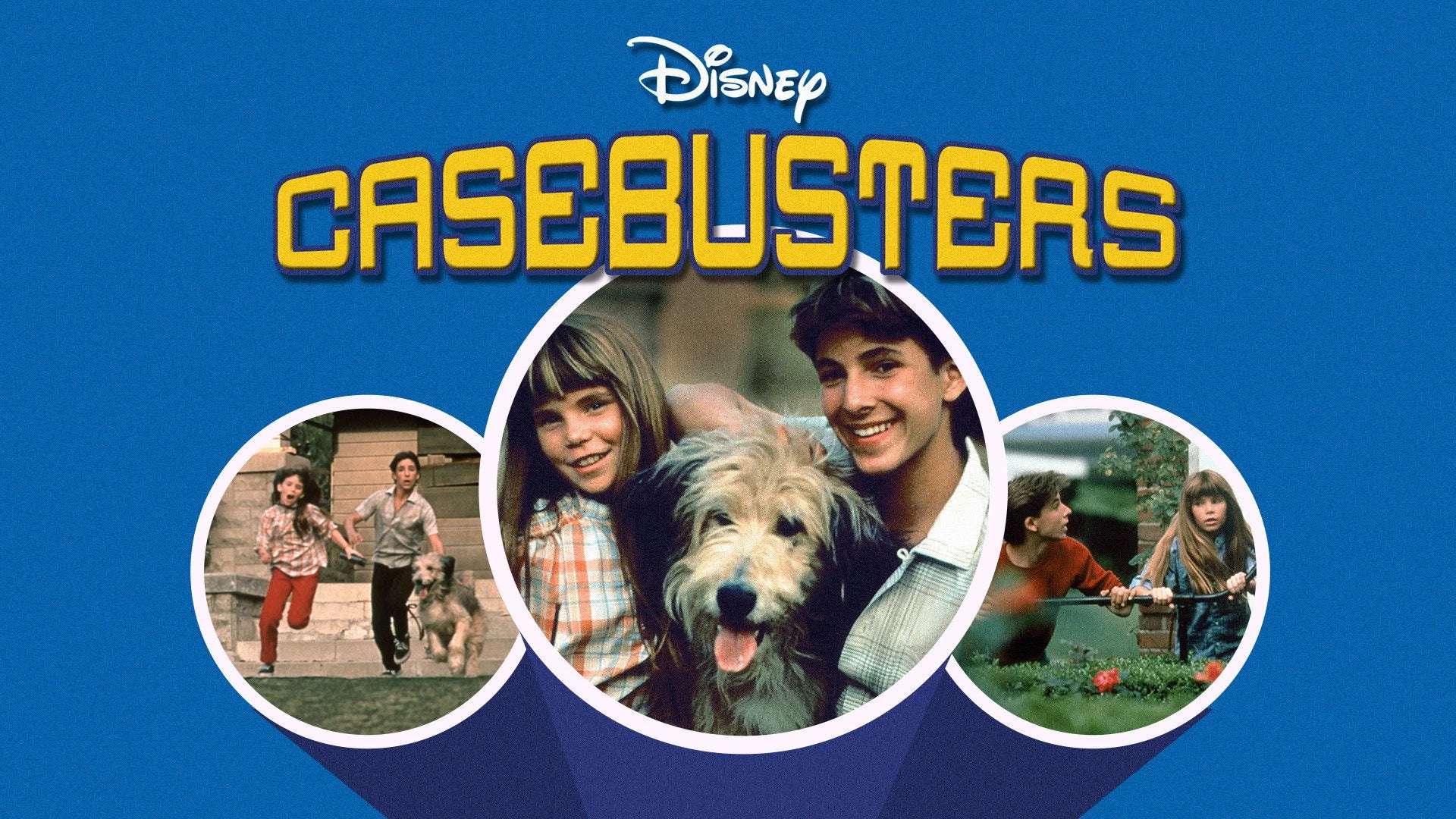 Casebusters (1986) home theater movie art - The Popcorn Poster Store