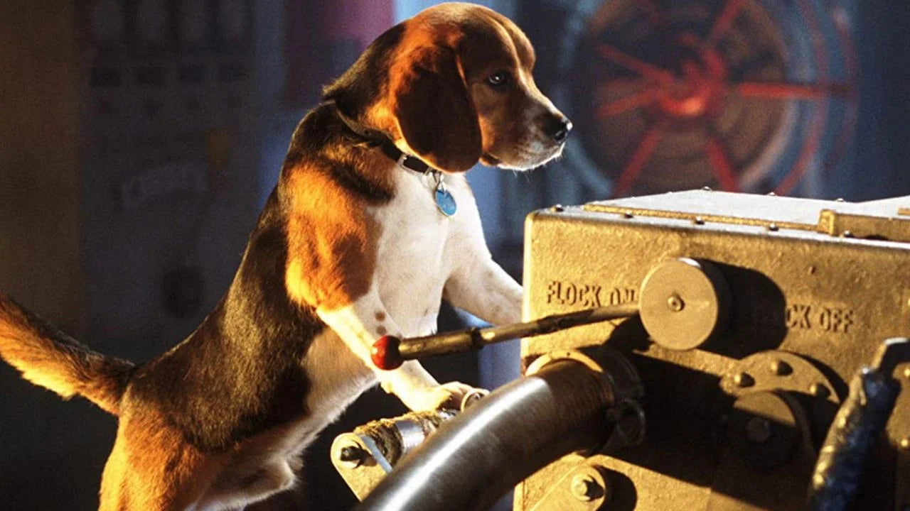 Cats & Dogs (2001) home theater movie art - The Popcorn Poster Store