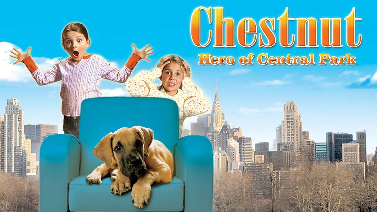 Chestnut Hero of Central Park (2004) home theater movie art - The Popcorn Poster Store