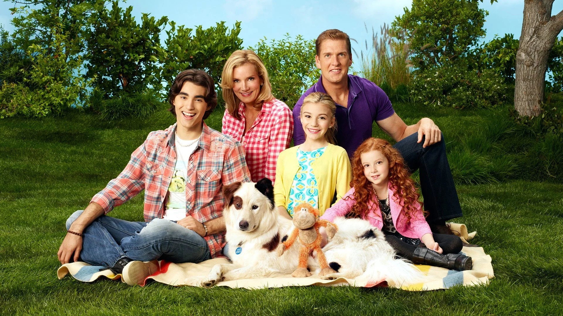 Dog with a Blog (2012) home theater movie art - The Popcorn Poster Store